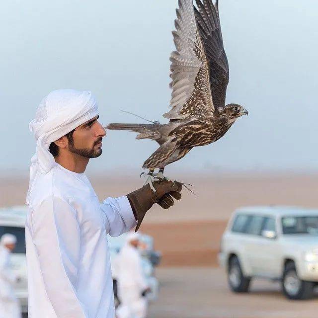 把奔驰让给小鸟筑巢这位有颜多金的迪拜王子看得让人犯花痴可结局