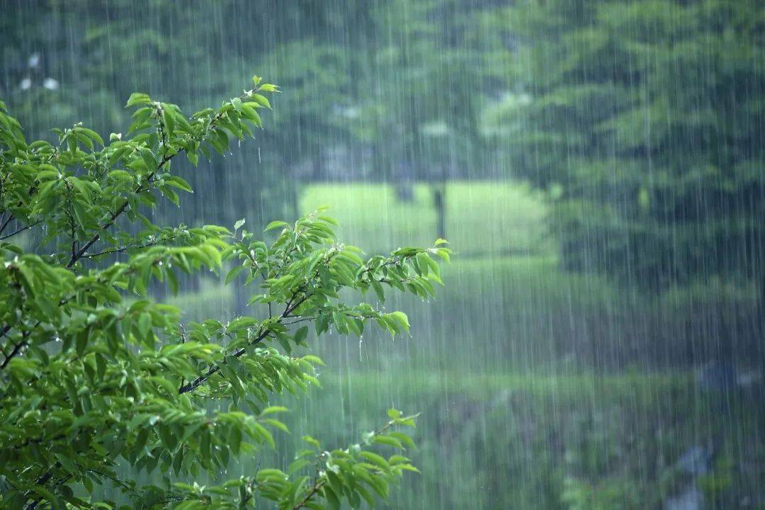 雨来了凉快了