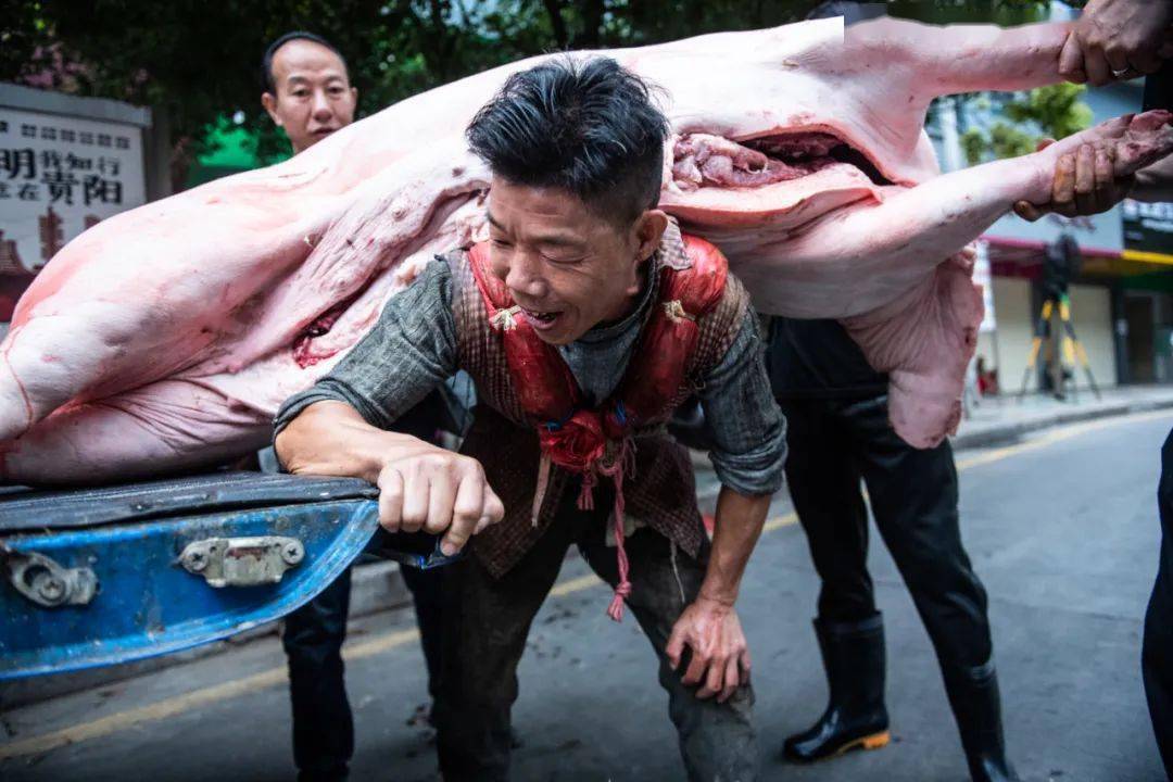 背猪汉上热搜17年背10万头猪养活一家7口