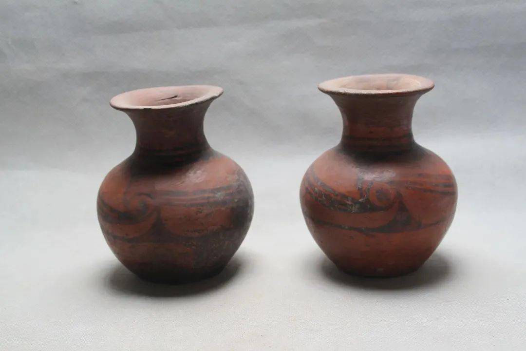 武博学术从石岭下类型彩陶探究中华龙凤文化之源