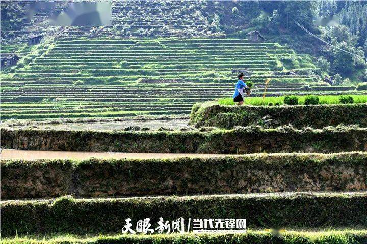 【确保高质量 打好收官战】榕江县八开镇摆奶村:脱贫又脱单 贫困村喜