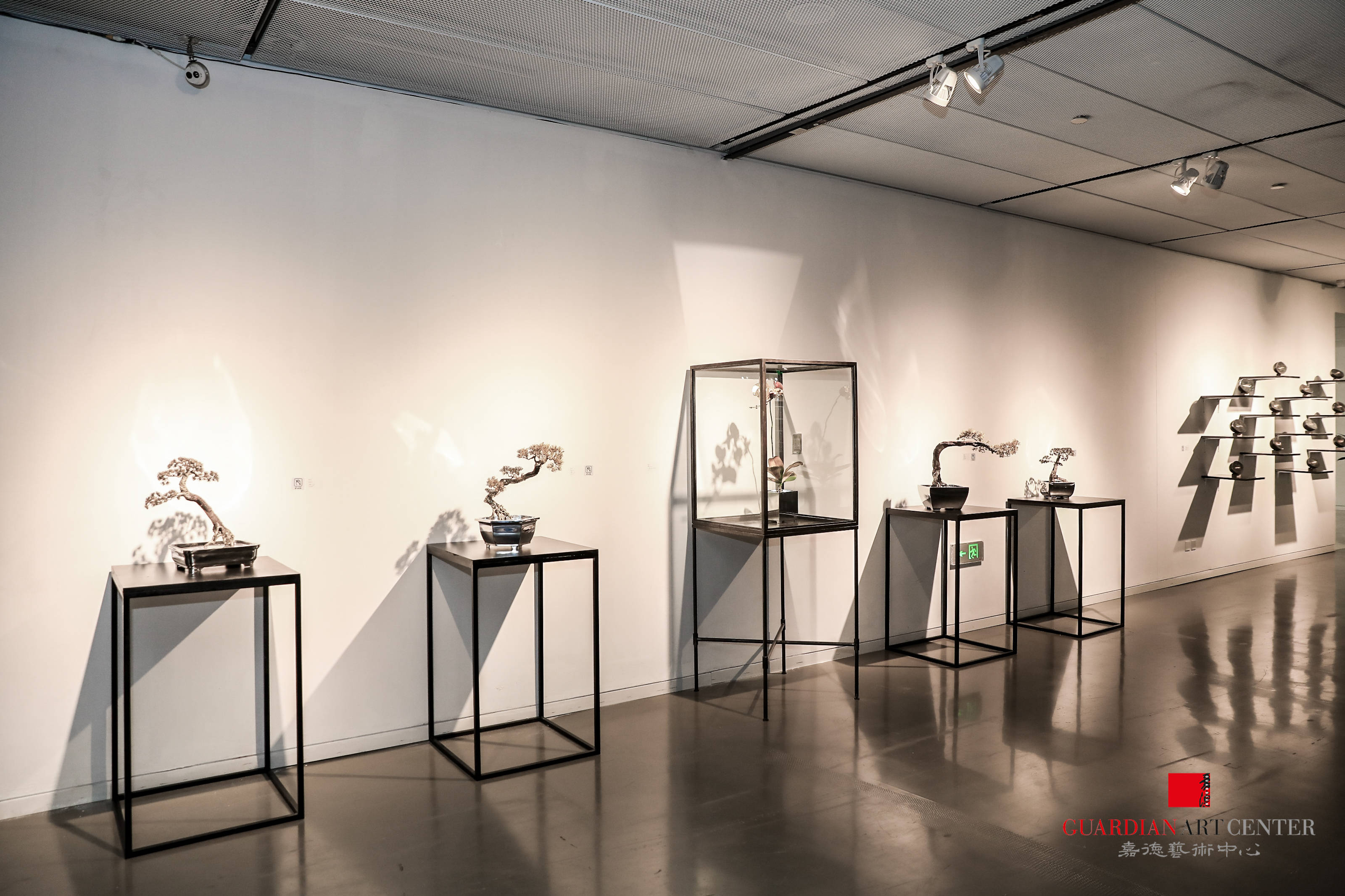 "千百"与"姿态"展览亮相嘉德艺术中心