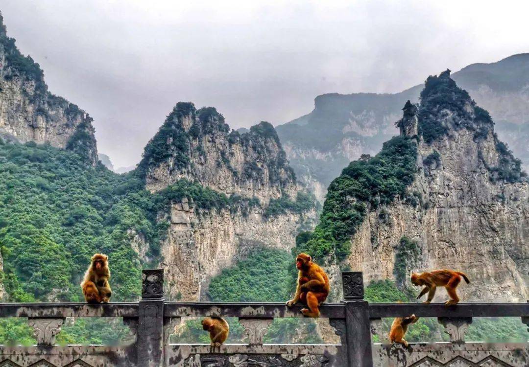 初秋济源的绿野仙境帧帧美图引人迷醉