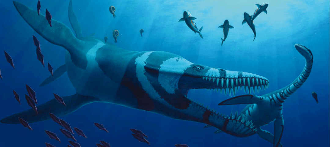 海洋科普1189侏罗纪的北海巨怪