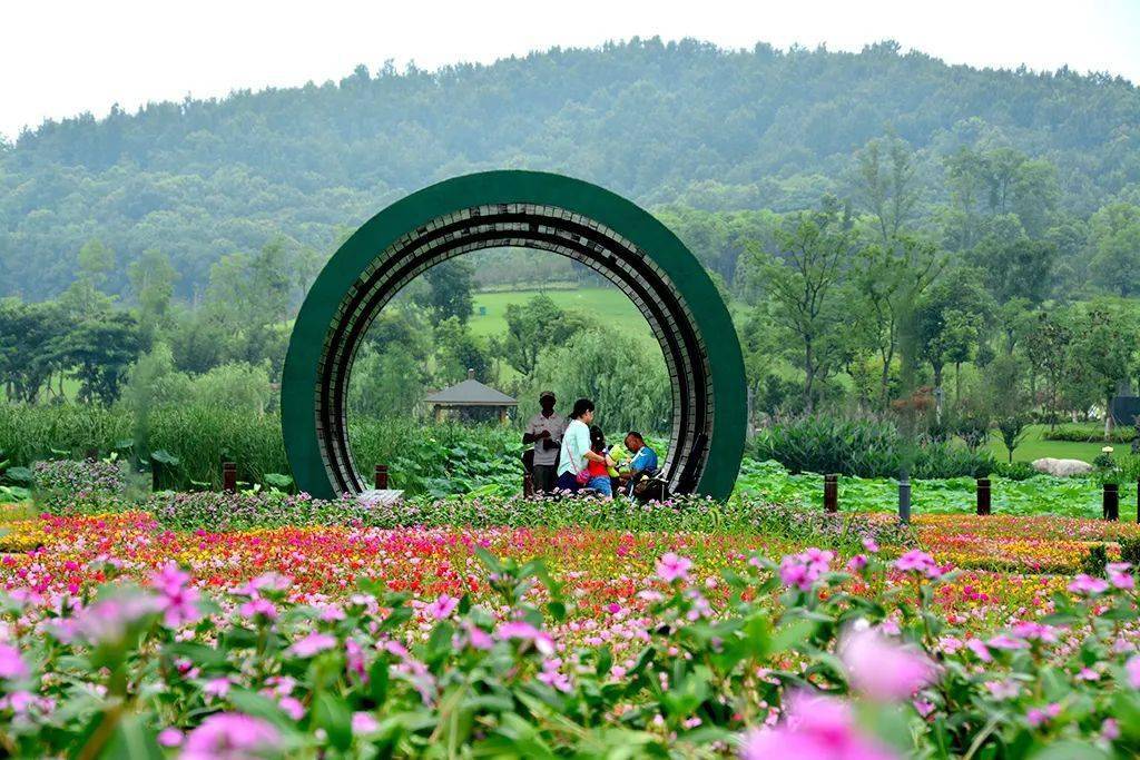 文明创建进行时丨文明美丽的鸠江是你爱着的模样