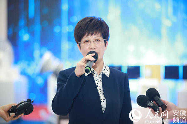 合肥市委副书记,市长凌云接受采访.王晓飞摄