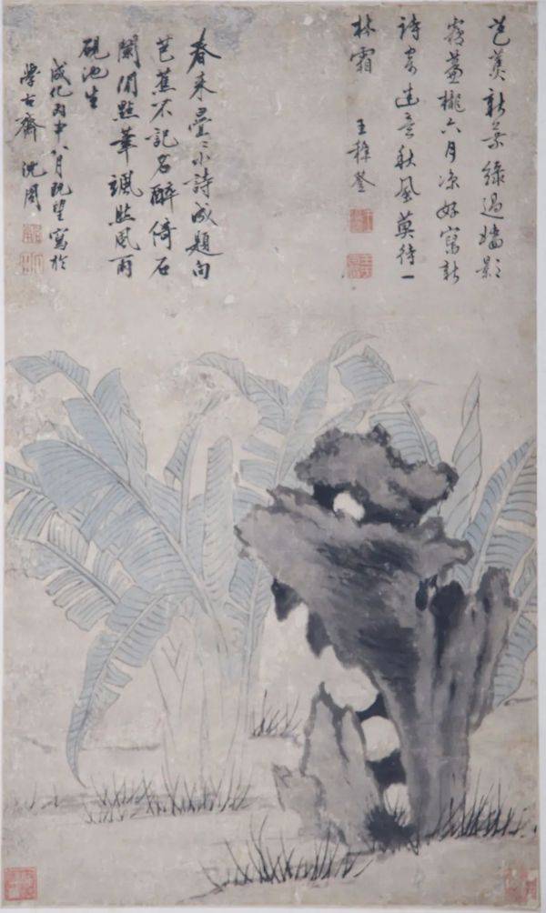 明代鲁王墓发掘的元代钱选画作亮相了,山东博物馆展古画精品_白莲