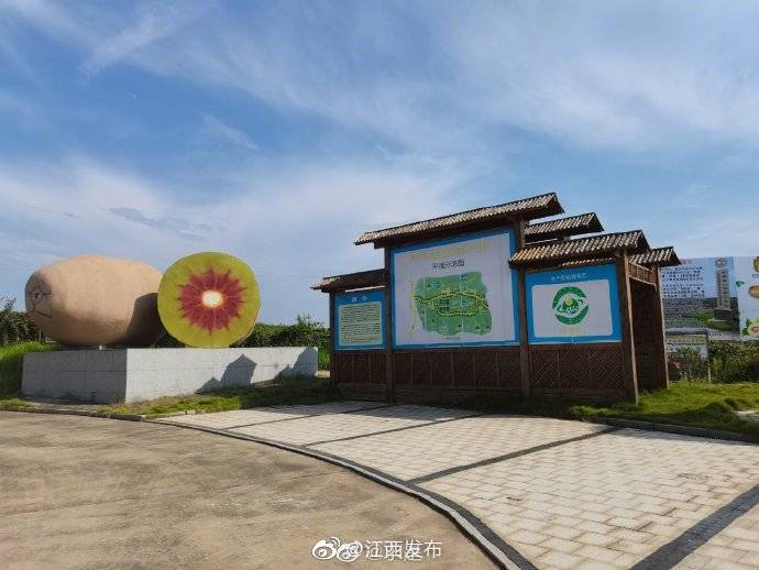 江西赤岸镇:生态猕猴桃 "迷猴"更"迷人"_奉新县