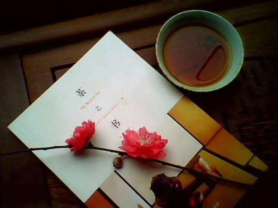 一茶,一書,一知己_人生