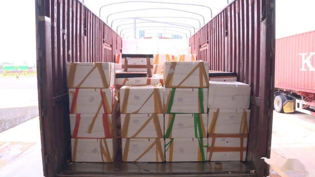 8月14日,随着东兴口岸货场卡杆抬起,一辆载满白色泡沫箱的货车驶出