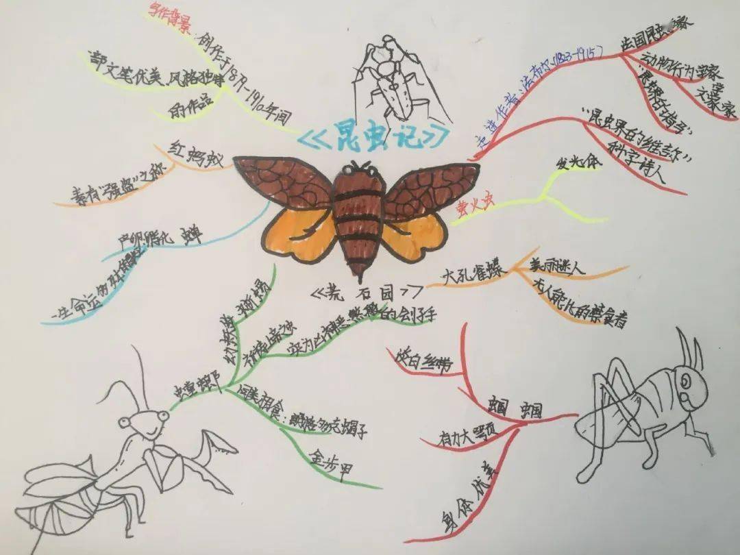 最是书香能致远,暑假读书正当时——长清湖实验学校