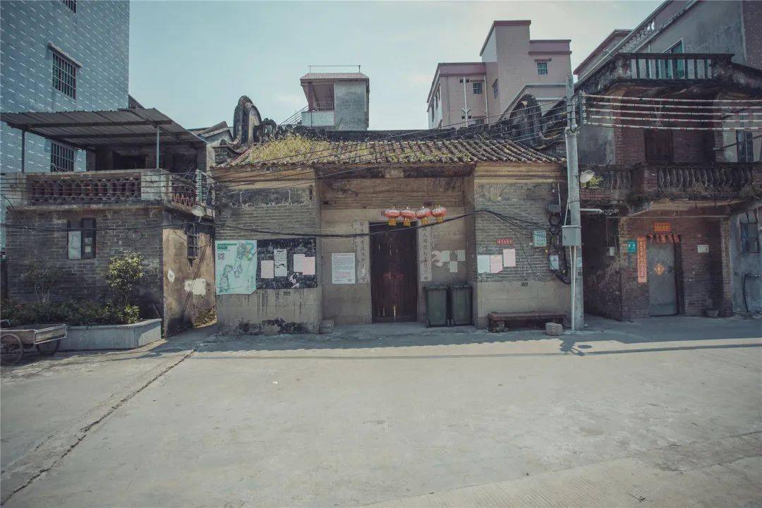 走进麻涌各村祠堂领略祠堂文化魅力