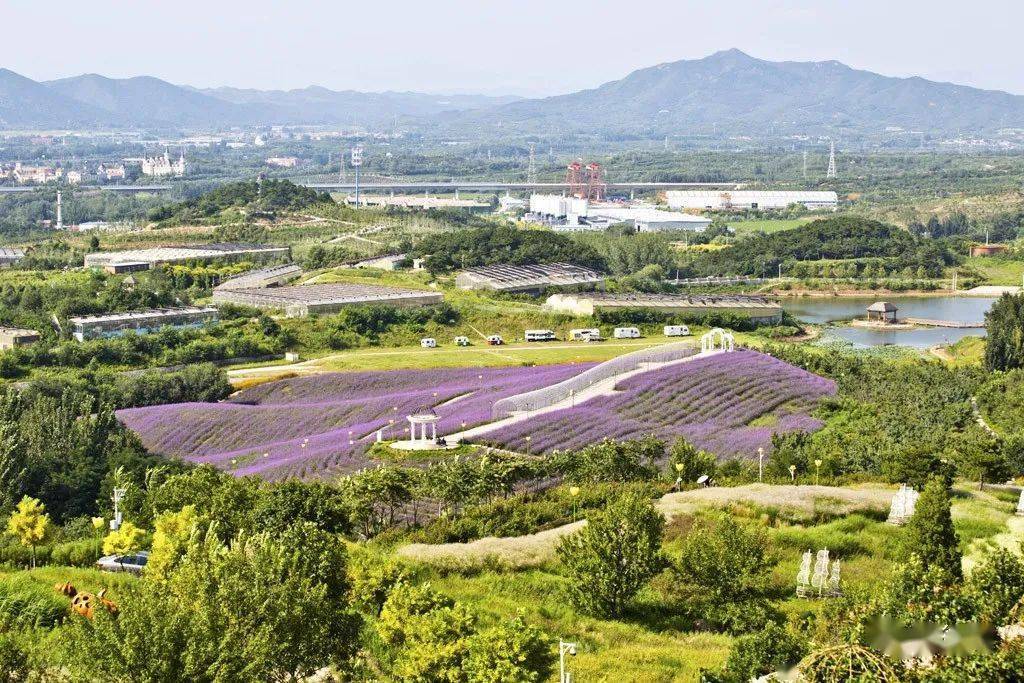 群山环抱中的玫瑰情园,密云的纳西古乐,走进蔡家洼村_文化