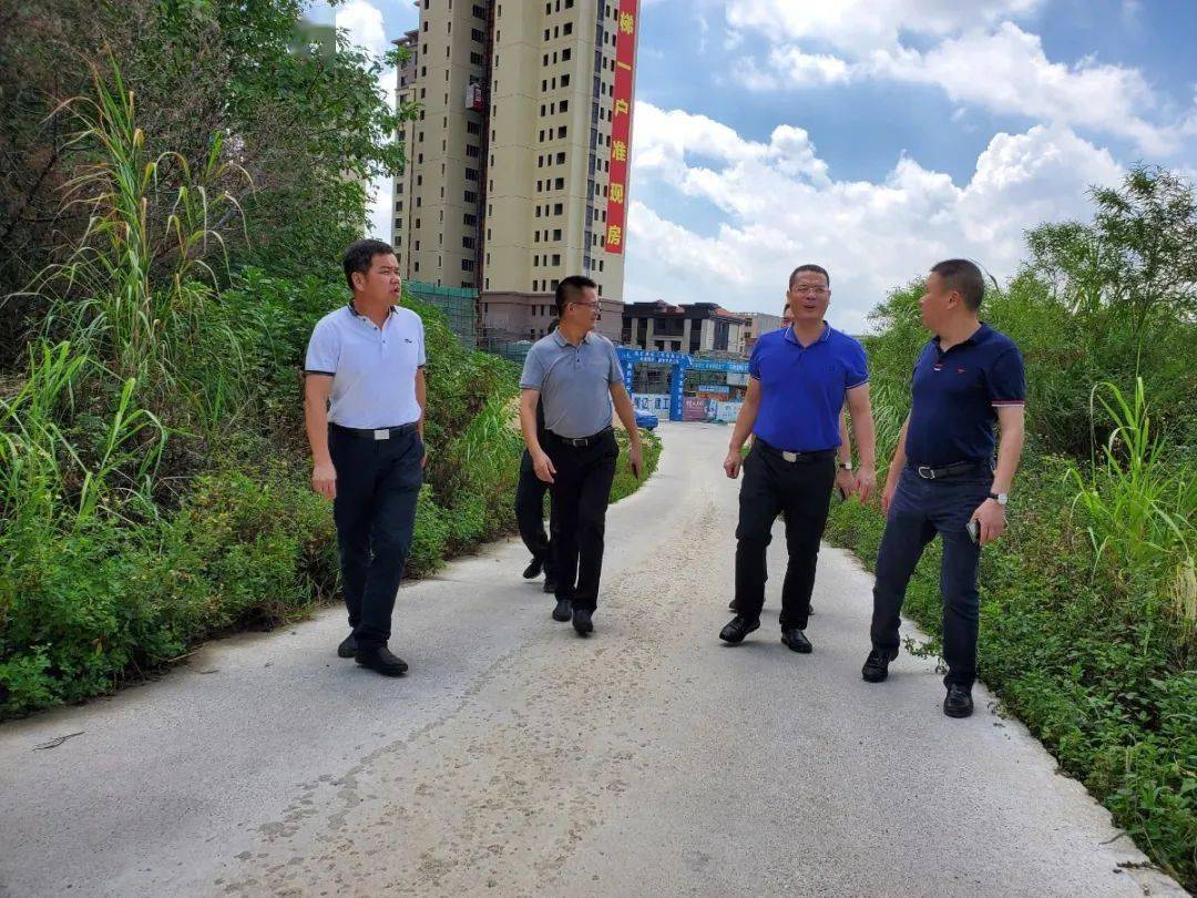 南安市领导到官桥镇开展调研工作