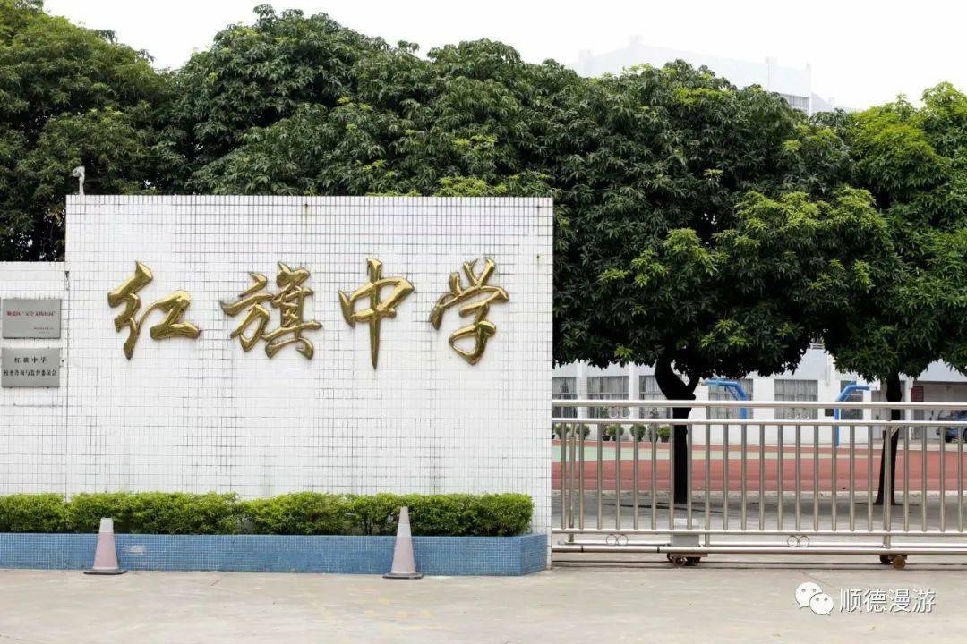 顺德容桂新蕾小学图片