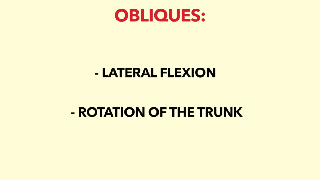 男人身上最性感的肌肉——爱之把!