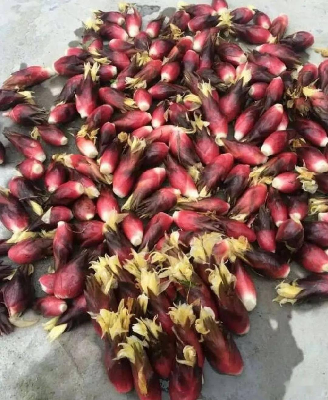 郧西舌尖上的美食洋荷姜