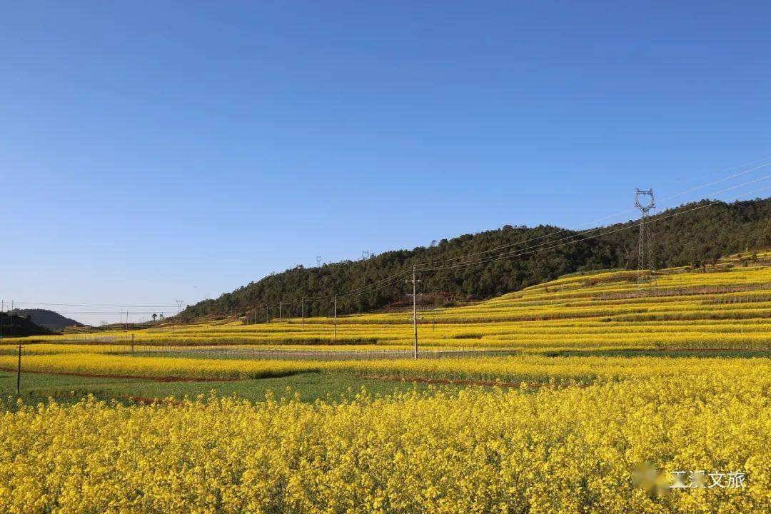 峨山县富良棚乡塔冲村