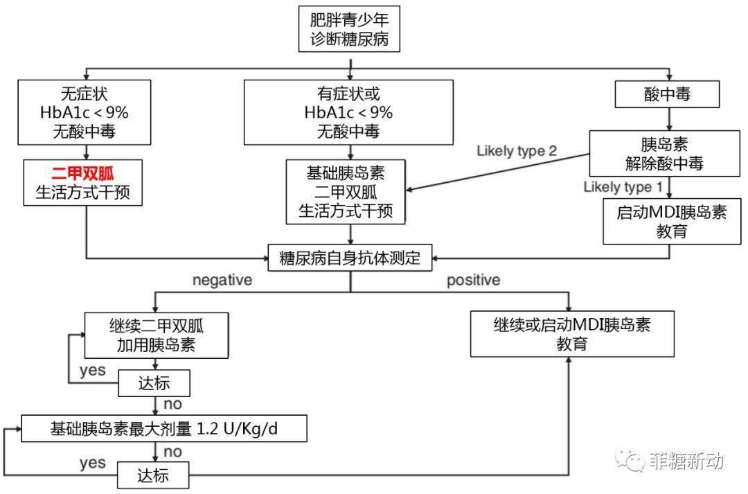 青少年2型糖尿病診療進展