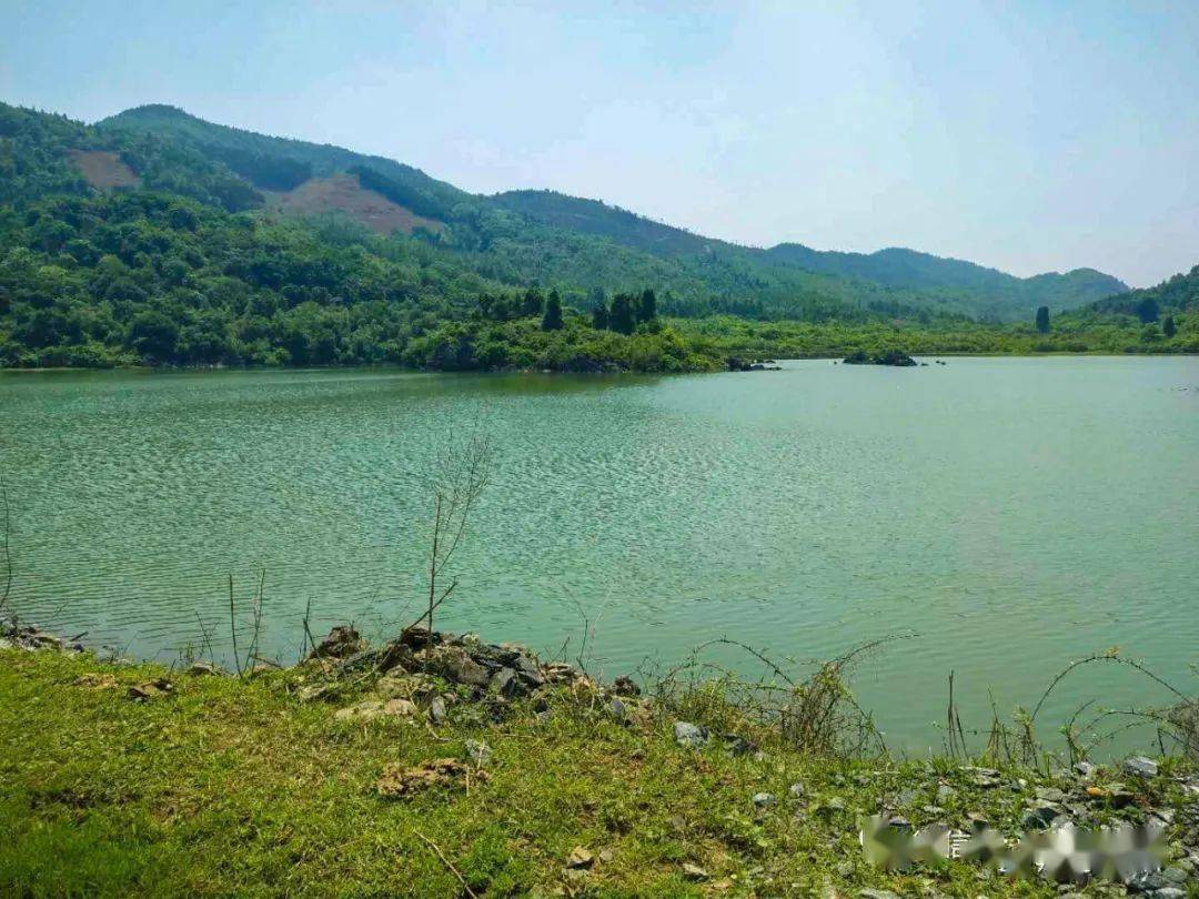东安这个普通小水库,也有别样的风景