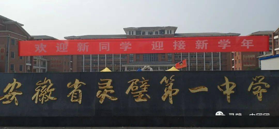 今天上午,在灵璧一中门口拍到的.