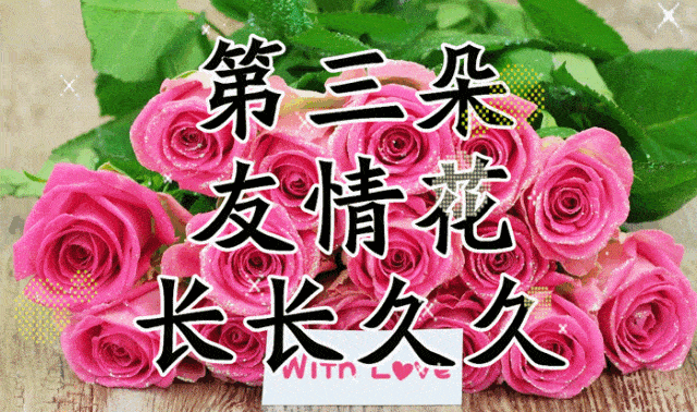 640_378gif 动态图 动图