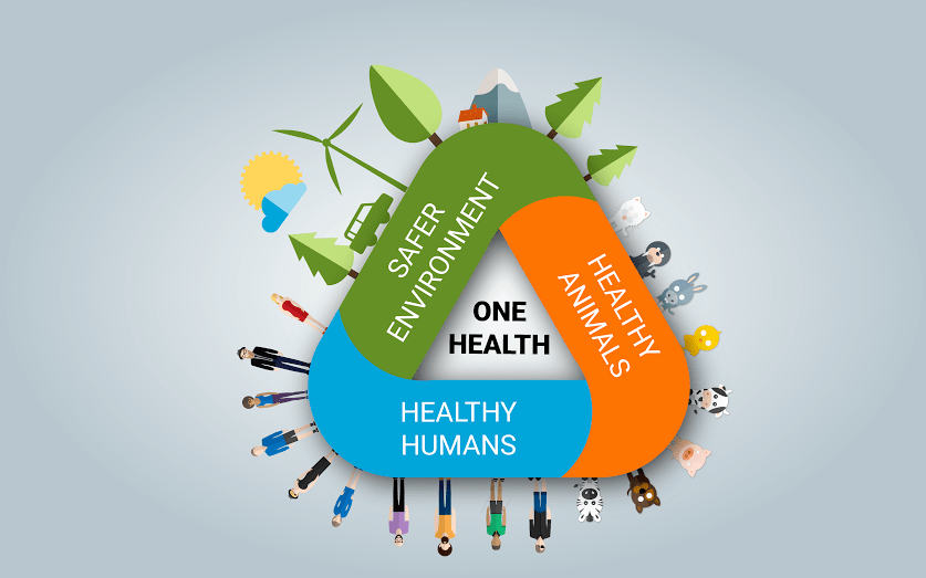 国际上早已开始流行的" one health"理念(人-动物-环境,同一健康)也