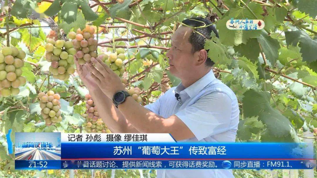 别人都叫他"葡萄大王",凭啥?_徐卫东