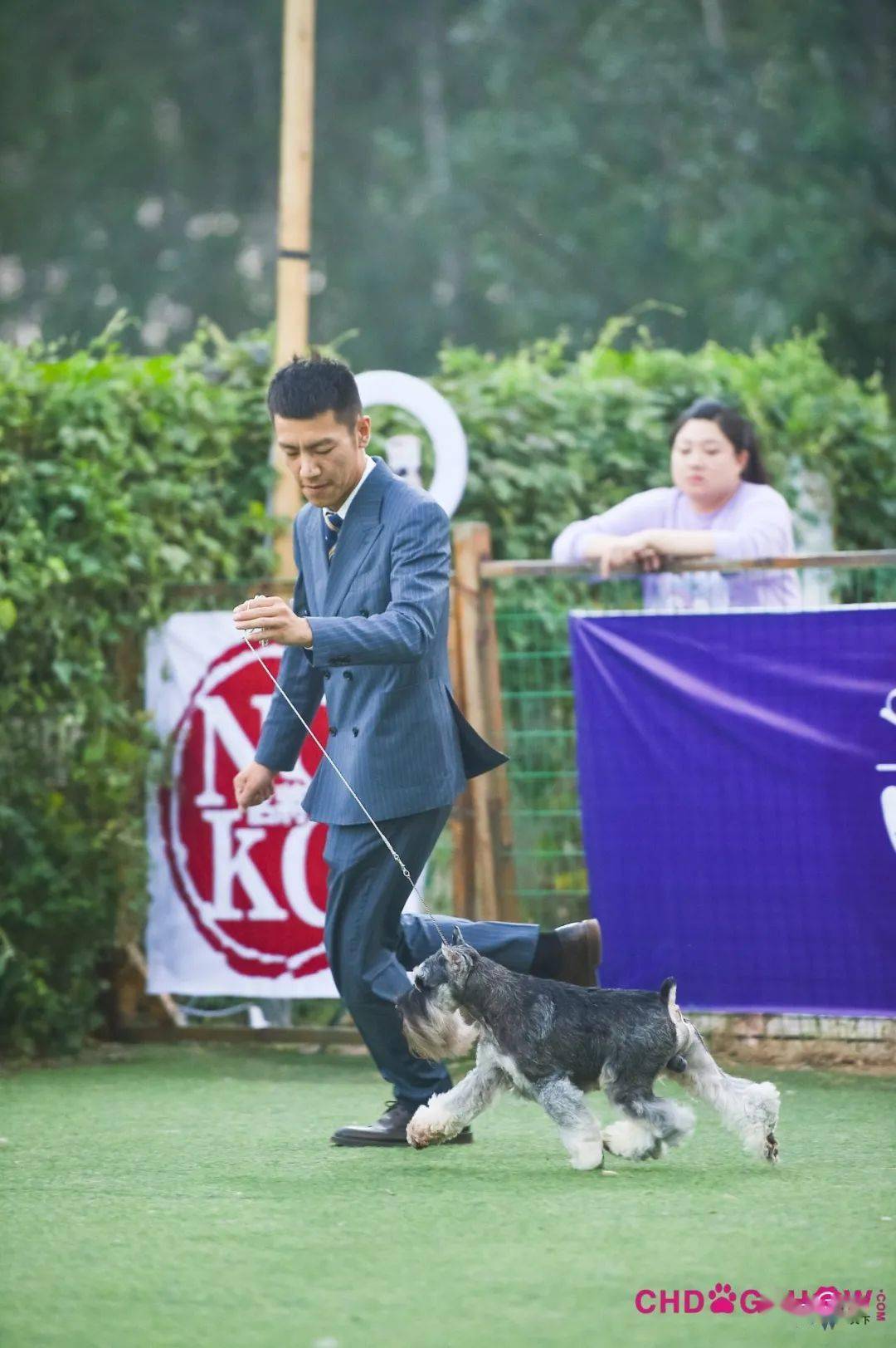 光号4,柴犬指导手:穆洪马犬主:穆洪马lucy3,惠比特犬指导手:王硕犬主