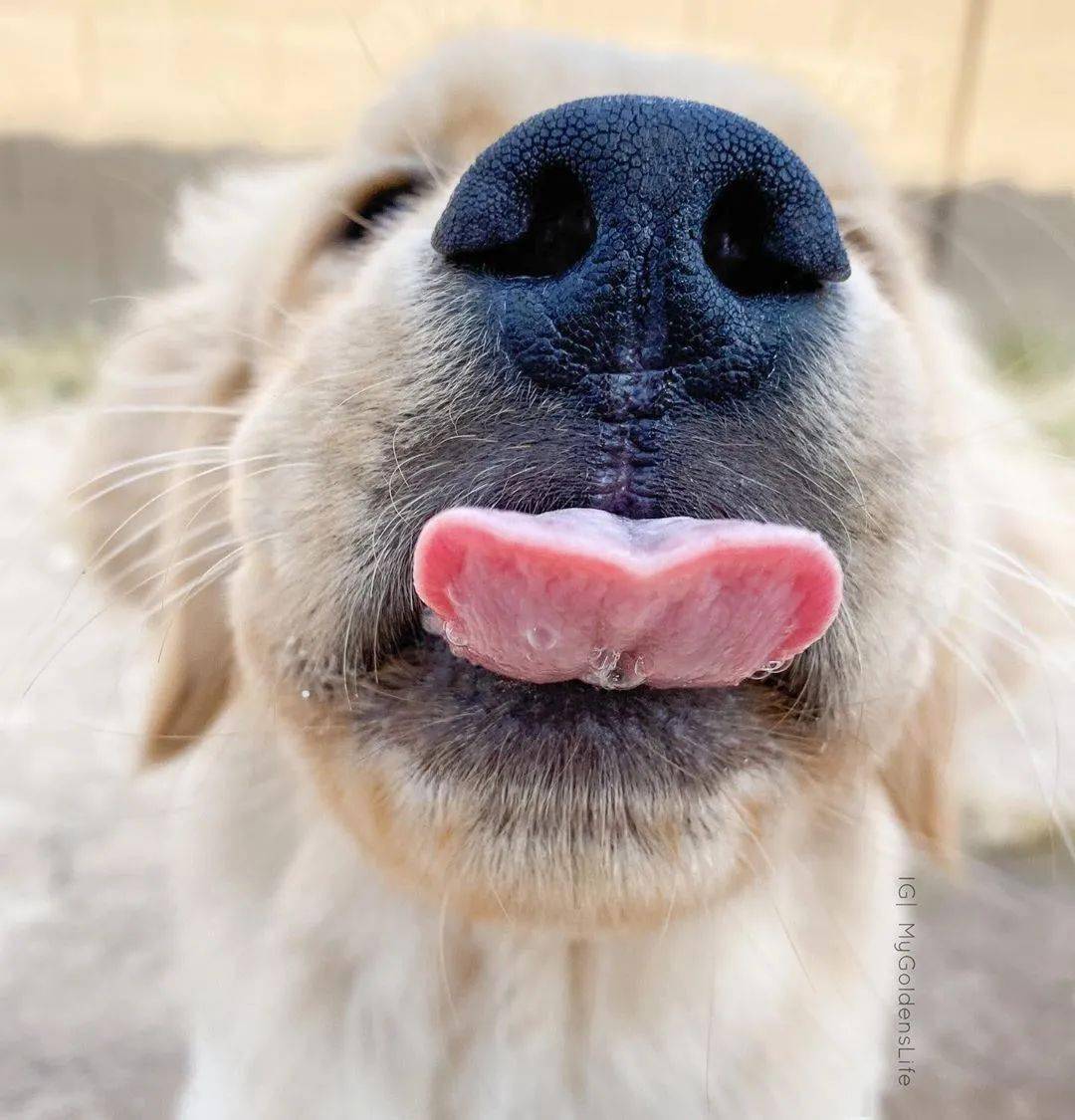 慎点这是一条带口水的推送