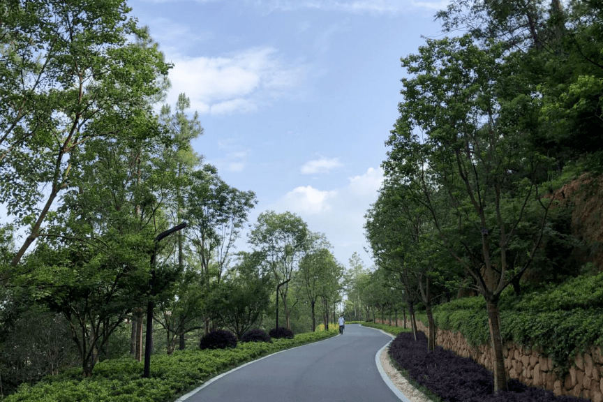 临平山绿道各大新景点喊你来取名啦!(内含福利)