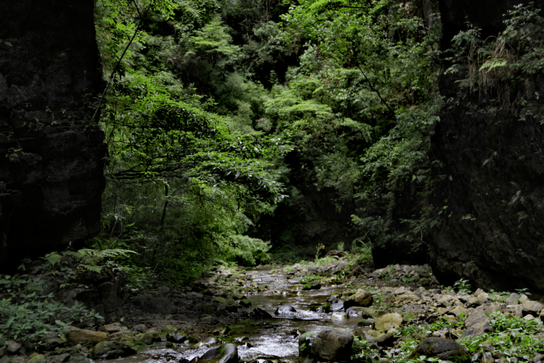 这里溪水清澈,沿途秘境深幽,峡谷缝隙,满眼滴翠.