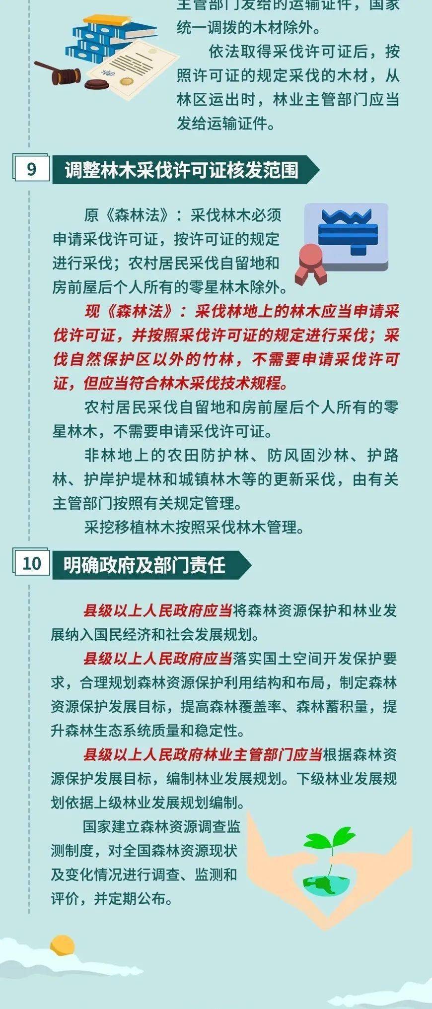 为您解读新修订的森林法