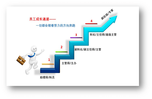 人才成长通道图公司副科级干部竞聘会表彰优秀团员干部集团公司技术