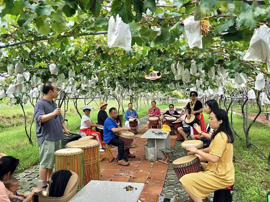 今天开幕收好这份葡萄节攻略带你玩转大泽山