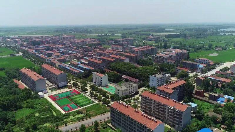 安陆这2个镇上榜!