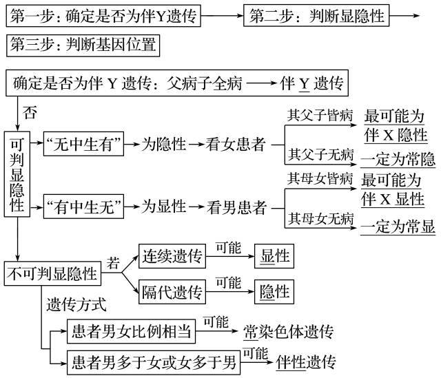 遗传系谱图口诀图片