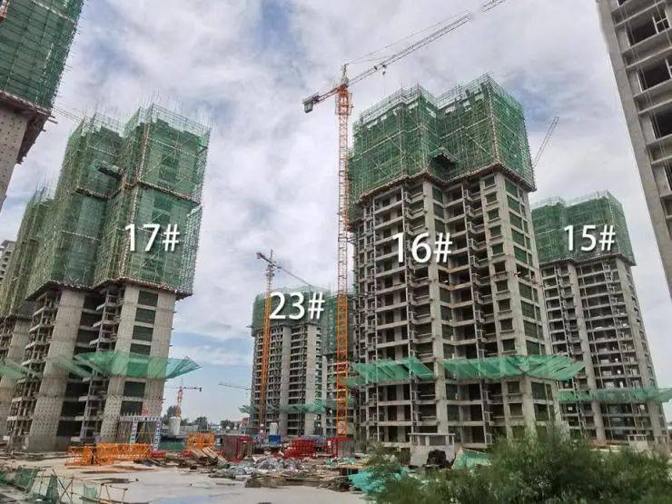 橄榄绿洲和雅工程进度播报秋意浓浓家音共鉴美好