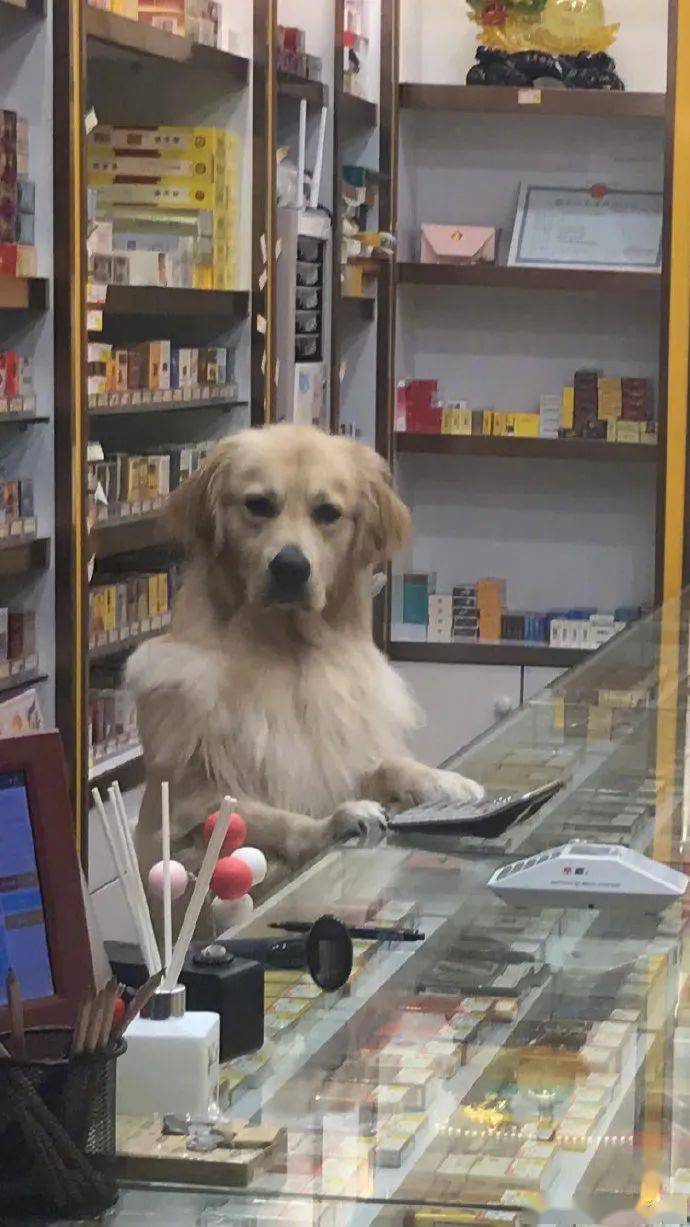 海仙麻辣烫难过的时候就练练书法因为快乐是字找的