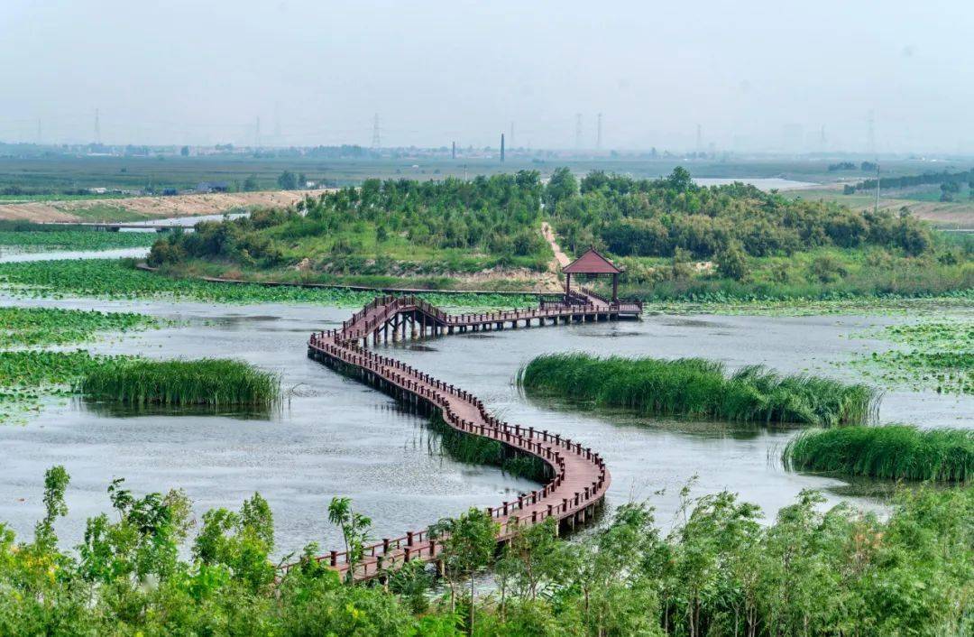 赞!这就是寒亭!_杨卫国