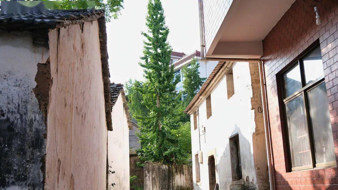 拥有一千五百年历史的赤松镇北山口村,究竟藏着怎样的秘密?