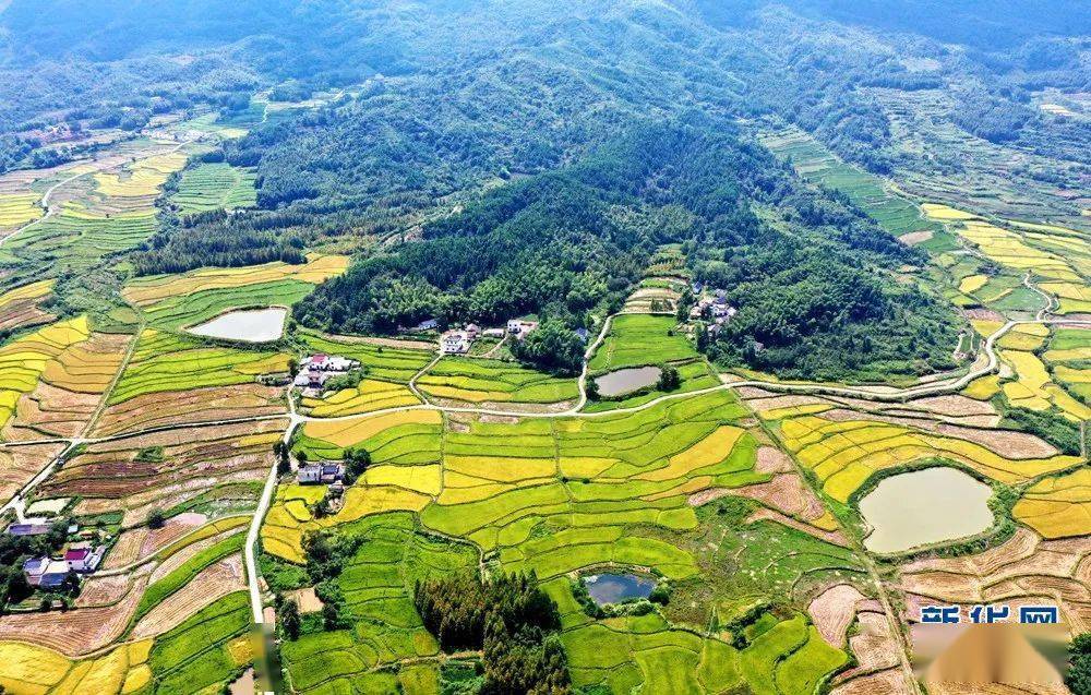 新华网镜头下新丰乡的田园风光也太美了