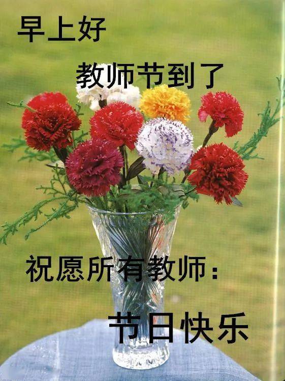 9月9日最漂亮早上好动态表情图片大全,早晨好动图美图大全