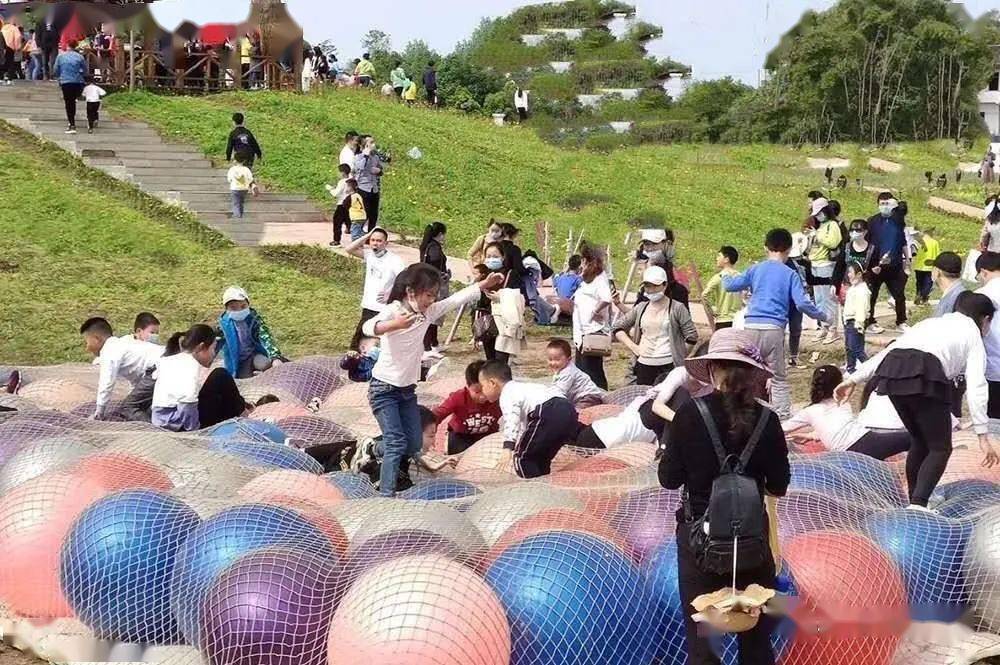 泉州人有福啦为期2个月聚龙岛欢乐园门票免费送被这片红树林妥妥圈粉