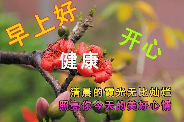 微信朋友圈早上好祝福语唯美的早安祝福图片