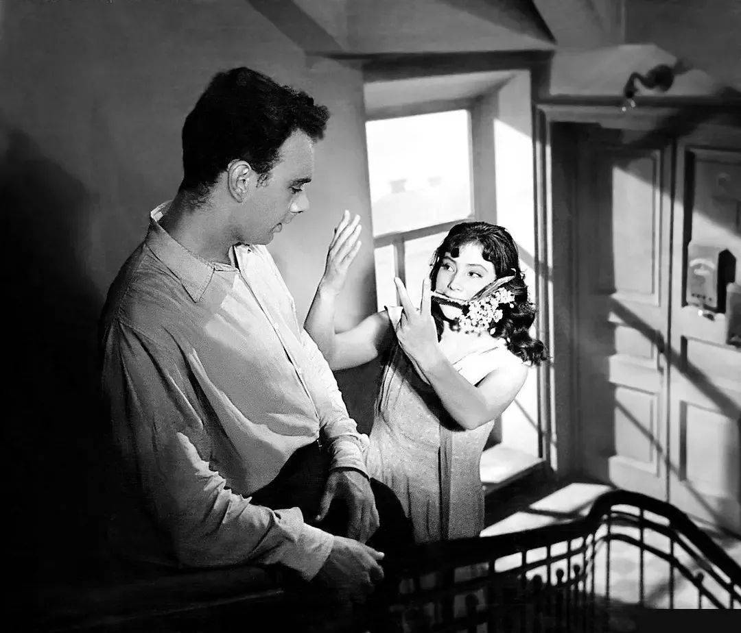 白雾覆盖着冰凉的波涛 | 观影预告