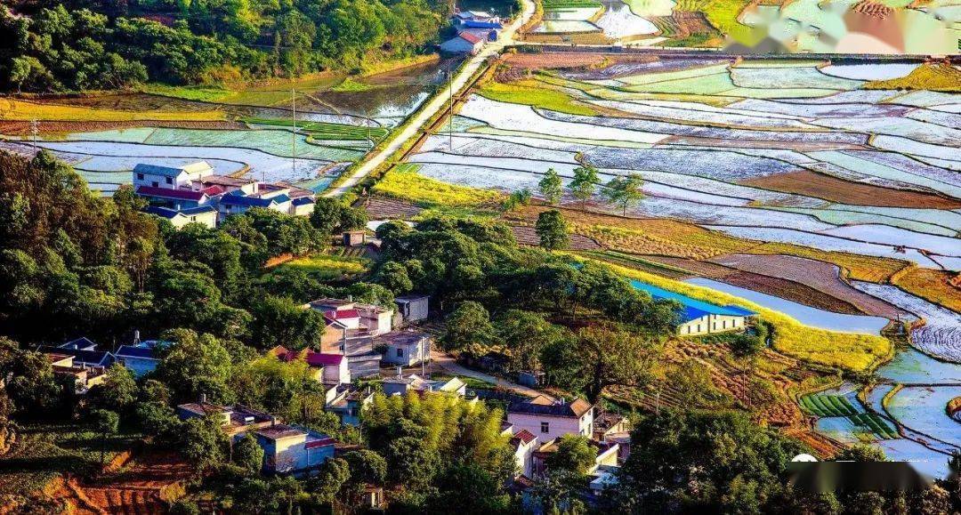 关注叶牡珍从一条弯曲的路穿过匡河镇