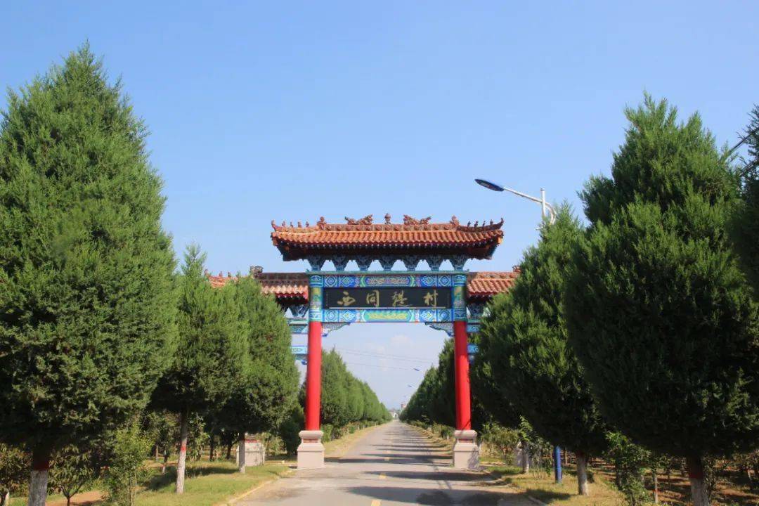 西同鞮村欢送2020年新录大学生