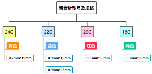 80的护士不知道经静脉留置针采血该如何操作