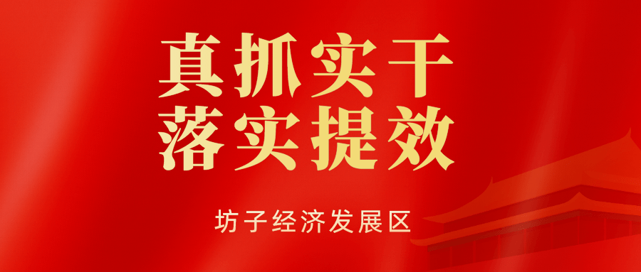 推进重点项目建设扎实推进农村人居环境整治工作切实将当前各项大事